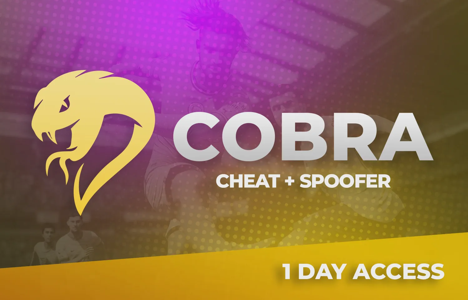 Cobra FIFA 2024 - 1 Day key